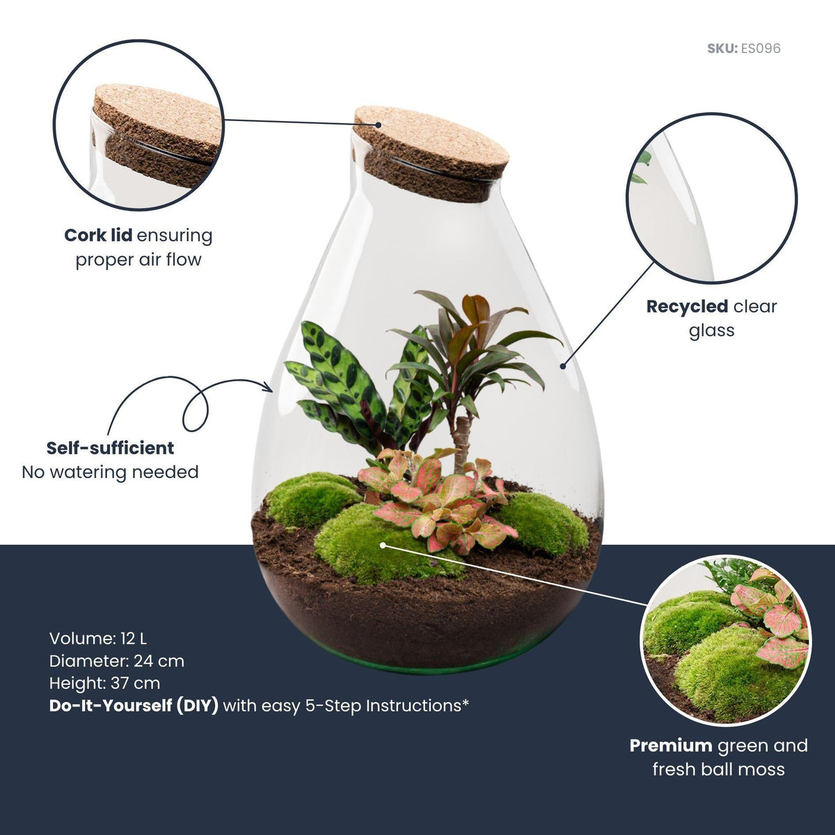 Flaschengarten Drop XL – Do – it – yourself Terrarium mit Korkdeckel – Ø29cm x H37cm – DIY – Ansicht 2