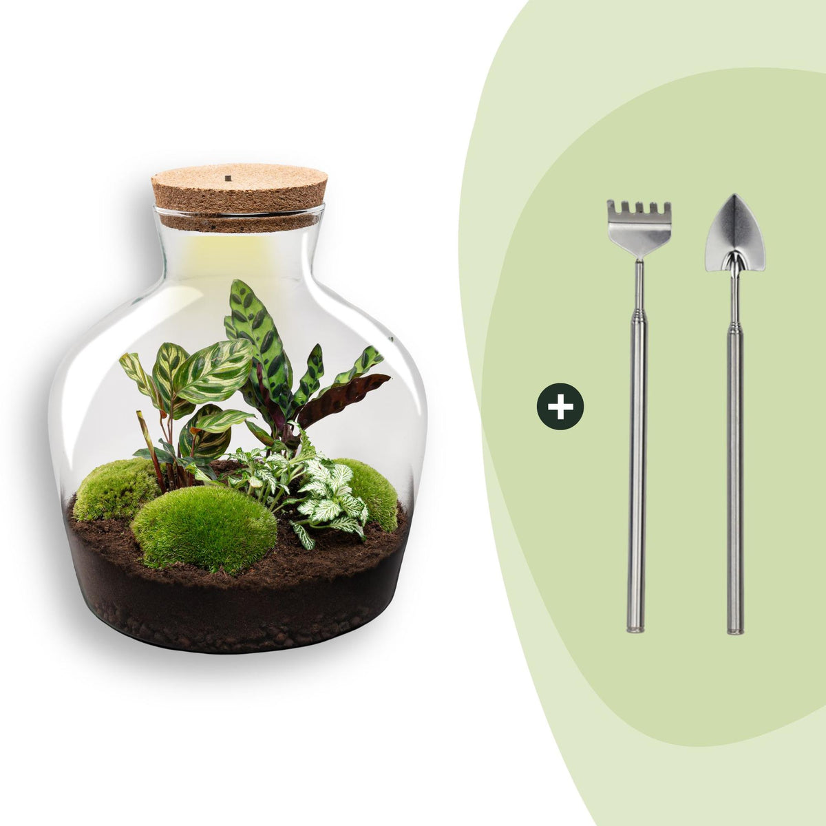 Flaschengarten DIY Bausatz Fat Joe – Terrarium Set mit Pflanzen, Moos & Zubehör – Ø29cm ↕30cm – Ansicht 7
