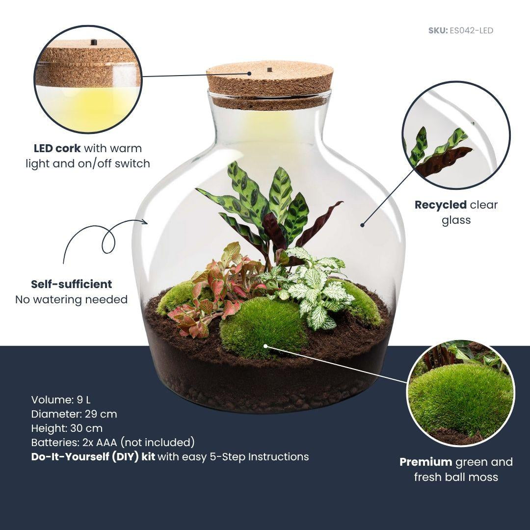 Flaschengarten DIY Bausatz – Terrarium Fat Joe Rot – Ø29cm x ↕30cm – Ansicht 7