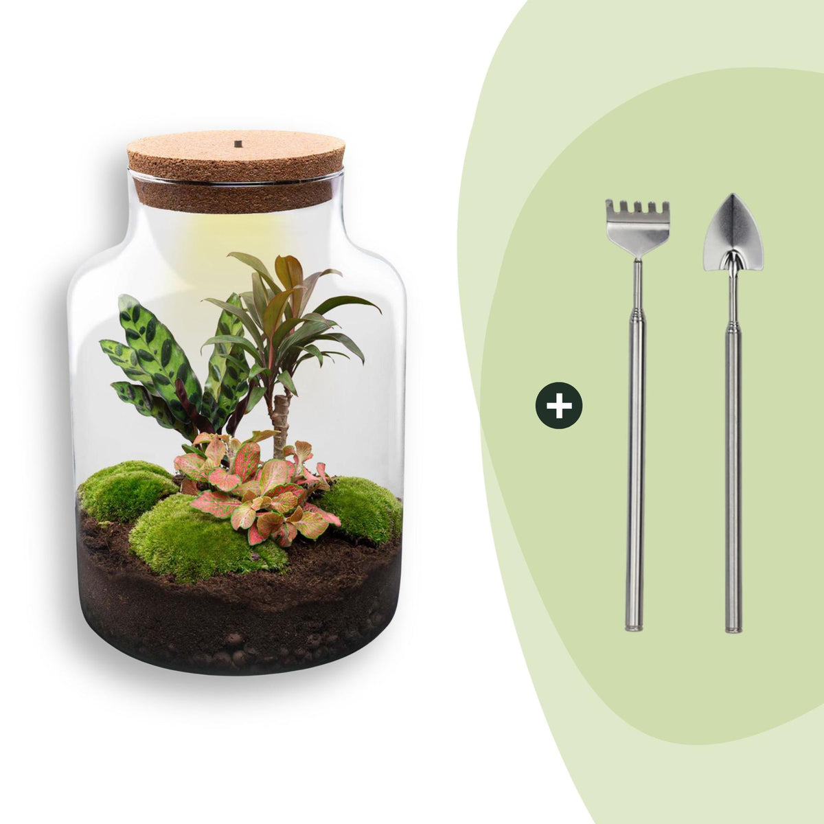 Flaschengarten Milky – DIY Bausatz Terrarium – ↕30cm – Do It Yourself Pflanzen – Set im Glas mit Korkdeckel – Ansicht 8