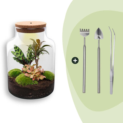 Flaschengarten Milky – DIY Bausatz Terrarium – ↕30cm – Do It Yourself Pflanzen – Set im Glas mit Korkdeckel – Ansicht 9