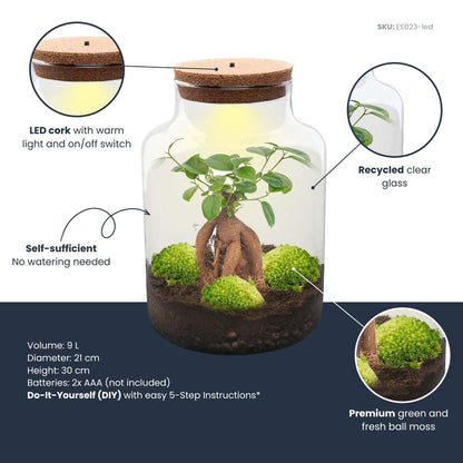 Flaschengarten DIY Bausatz Terrarium Milky Bonsai – Ø21cm – ↕30cm – Do – It – Ansicht 5