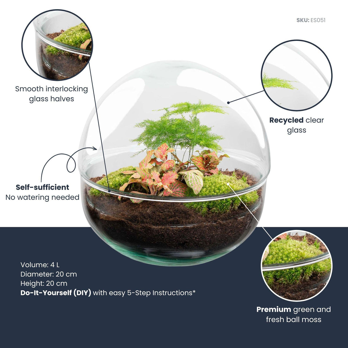 DIY Flaschengarten Set – Dome Glas Rot – Ø20cm x H20cm – Ansicht 5