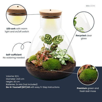 Flaschengarten Sam Calathea mit LED – DIY Bausatz Terrarium – ↕30cm – Do It Yourself Pflanzen – Set – Ansicht 6