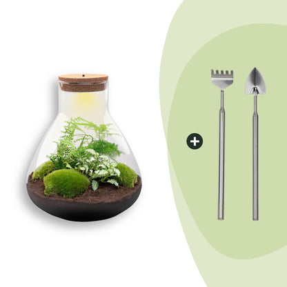 Flaschengarten Sam XL – DIY Bausatz Terrarium – ↕35cm – Do – It – Yourself Pflanzen – Set mit Korkdeckel – Ansicht 9