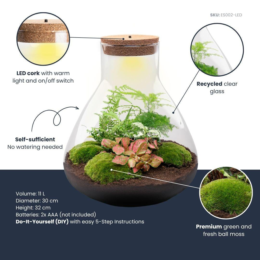 Flaschengarten Sam XL Rot – DIY Bausatz Terrarium – ↕35cm – Do It Yourself Pflanzen – Set – Autarkes Mini – Ansicht 7