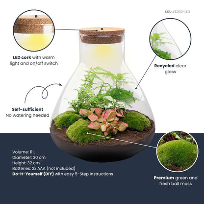 Flaschengarten Sam XL Rot – DIY Bausatz Terrarium – ↕35cm – Do It Yourself Pflanzen – Set – Autarkes Mini – Ansicht 7