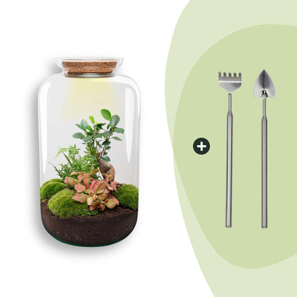 Flaschengarten Sven Bonsai – DIY Bausatz Terrarium – ↕43cm – Do It Yourself Pflanzen – Ansicht 8