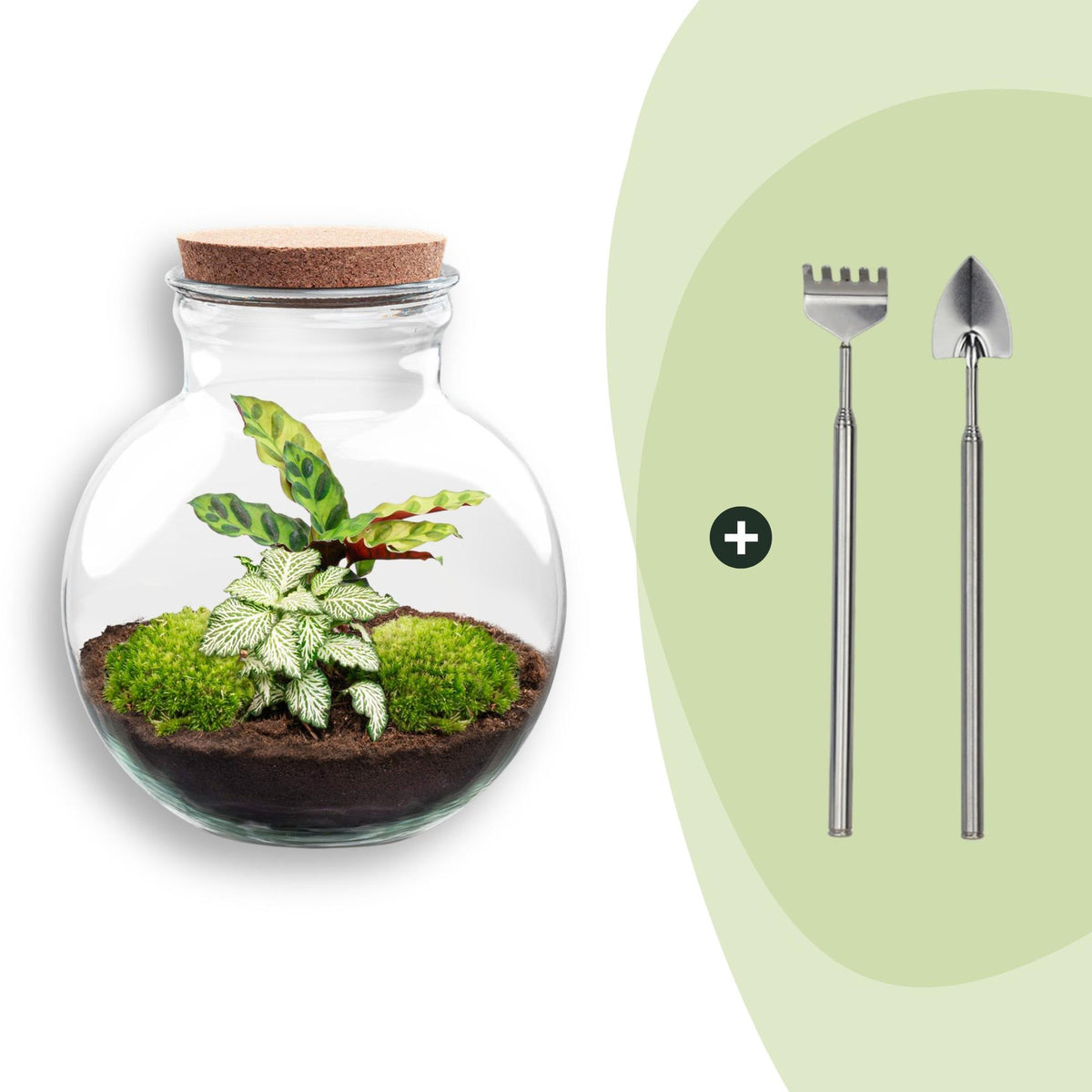 Flaschengarten Teddy – DIY Bausatz Terrarium – ↕26,5cm – Do It Yourself Pflanzen – Set im Glas mit Kork – Ansicht 8