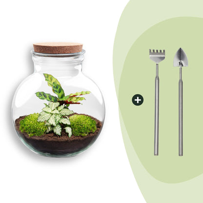 Flaschengarten Teddy – DIY Bausatz Terrarium – ↕26,5cm – Do It Yourself Pflanzen – Set im Glas mit Kork – Ansicht 8