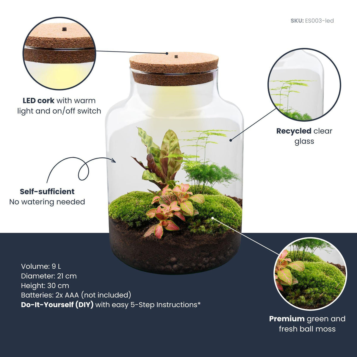 Flaschengarten Milky – DIY Bausatz Terrarium – ↕30cm – Do It Yourself Pflanzen – Set im Glas mit Korkdeckel – Ansicht 7