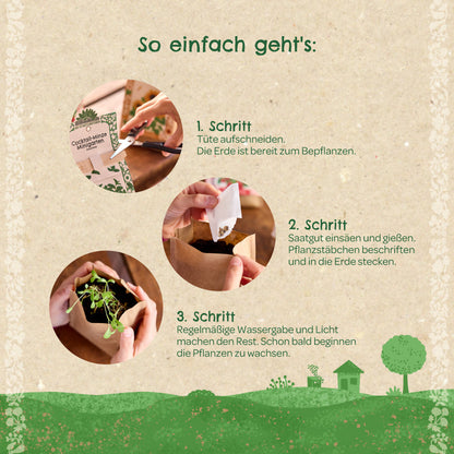 Anzuchtset – Minigarten BIO-Chili 
