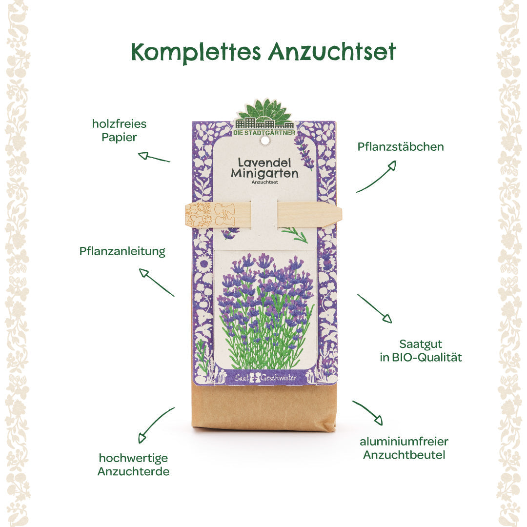 Anzuchtset – Minigarten BIO-Lavendel 