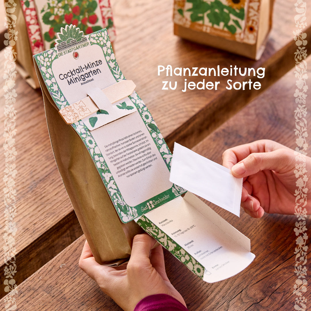 Anzuchtset – Minigarten BIO-Chili 