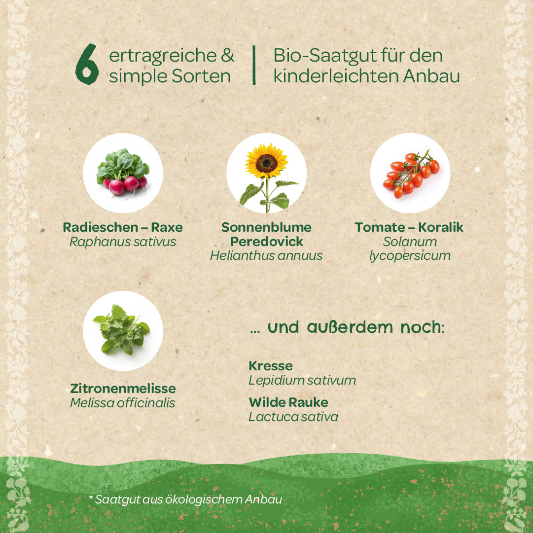 BIO-Saatgut-Set "Kinder-Garten" 