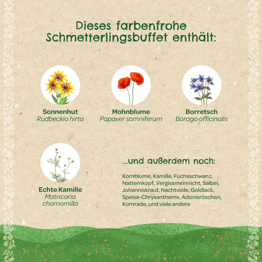 Saatkugeln "Schmetterlingswiese" 