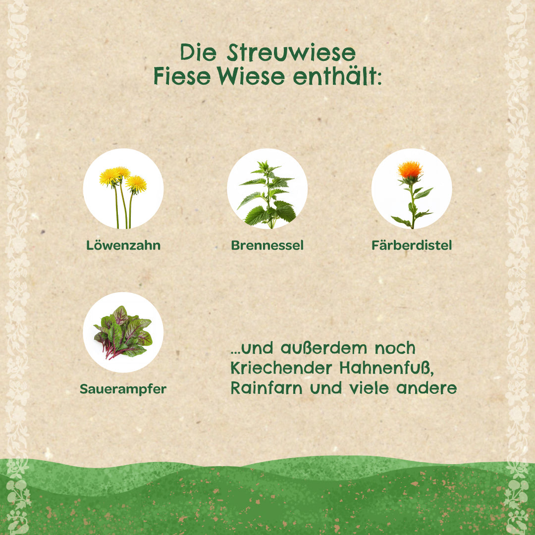 Streuwiese "Fiese Wiese" 