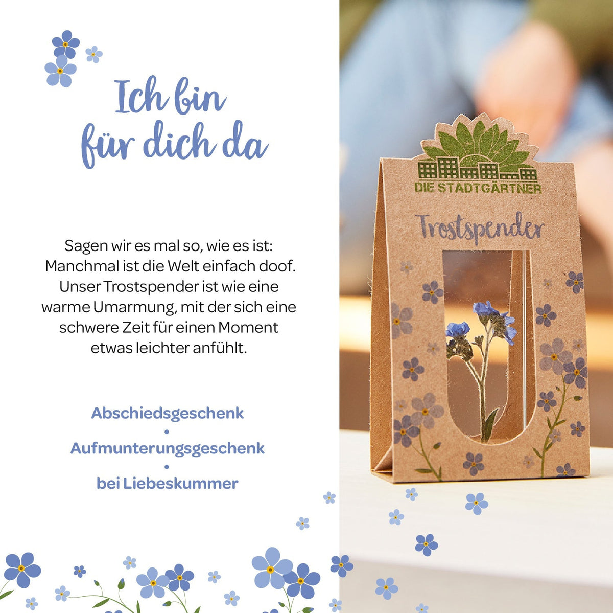 Trostspender – Echtes Vergissmeinnicht 