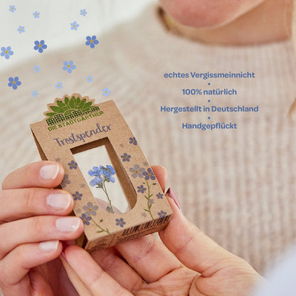 Trostspender – Echtes Vergissmeinnicht 