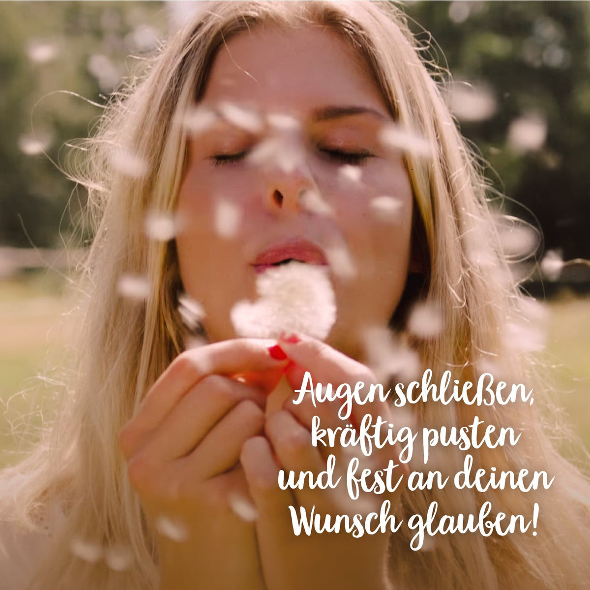 Wunscherfüller, mittel 
