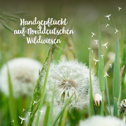 Wunscherfüller, mittel 