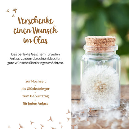 Großer Wunscherfüller – Pusteblume im Glas 