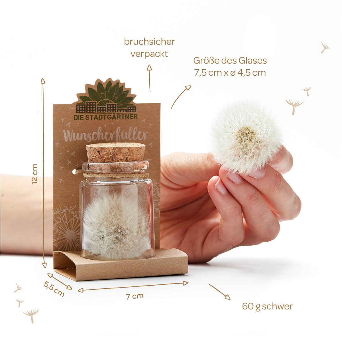 Großer Wunscherfüller – Pusteblume im Glas 