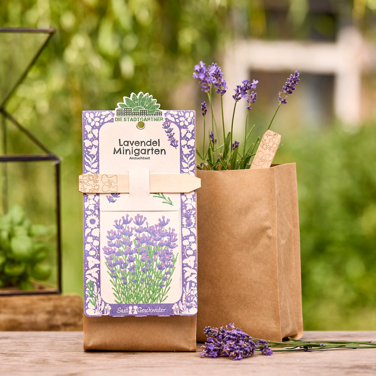 Anzuchtset – Minigarten BIO-Lavendel 