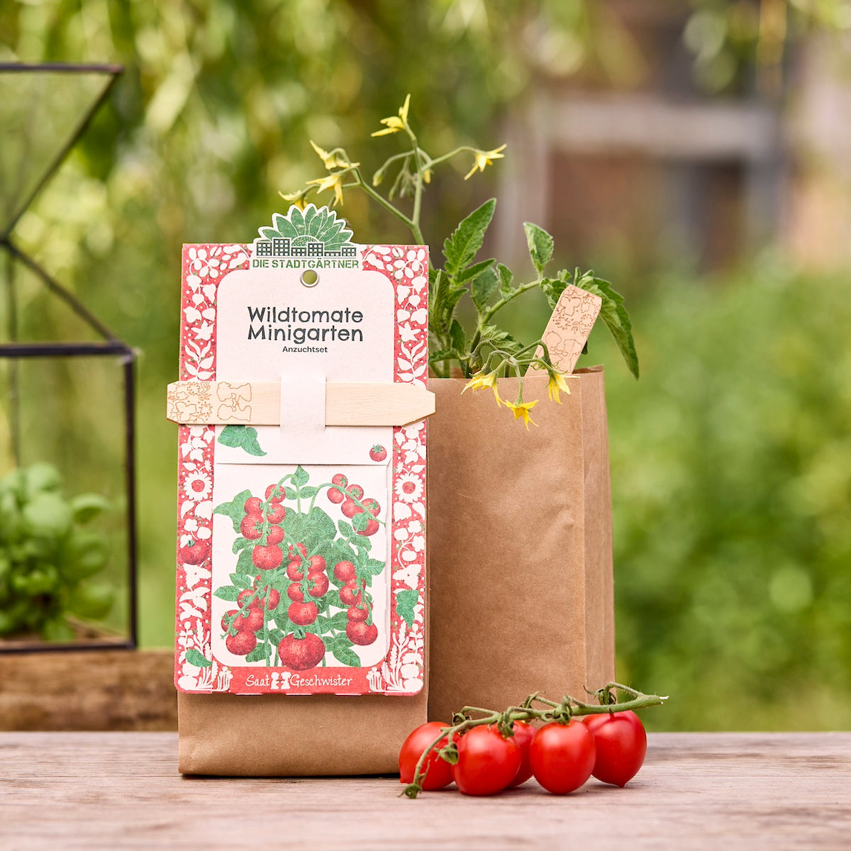 Anzuchtset – Minigarten BIO-Wildtomate 