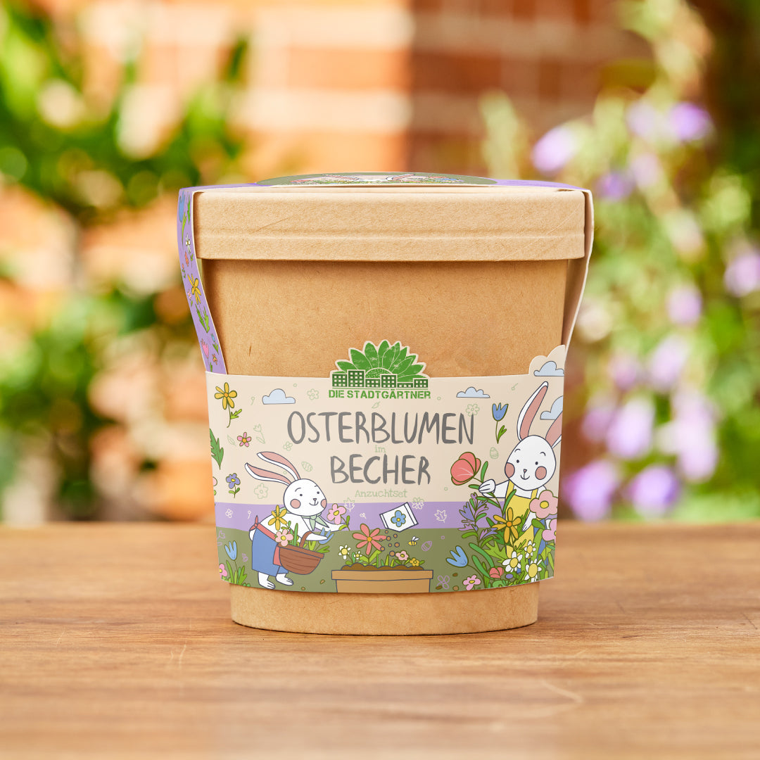 Blümchen aus dem Becher 