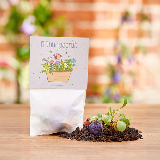 10x5 Blumenmurmeln im Tütchen "Frühlingsgruß" 
