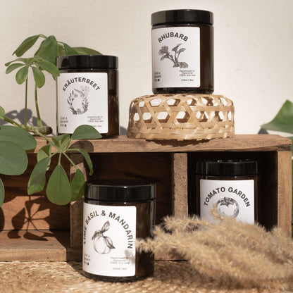 Duftkerze Lime Basil & Mandarin – Gardening Collection – 170ml Sojawachs – Frischer Gartenduft mit Limette Basilikum & Hölzern – Aromakerze im Glas