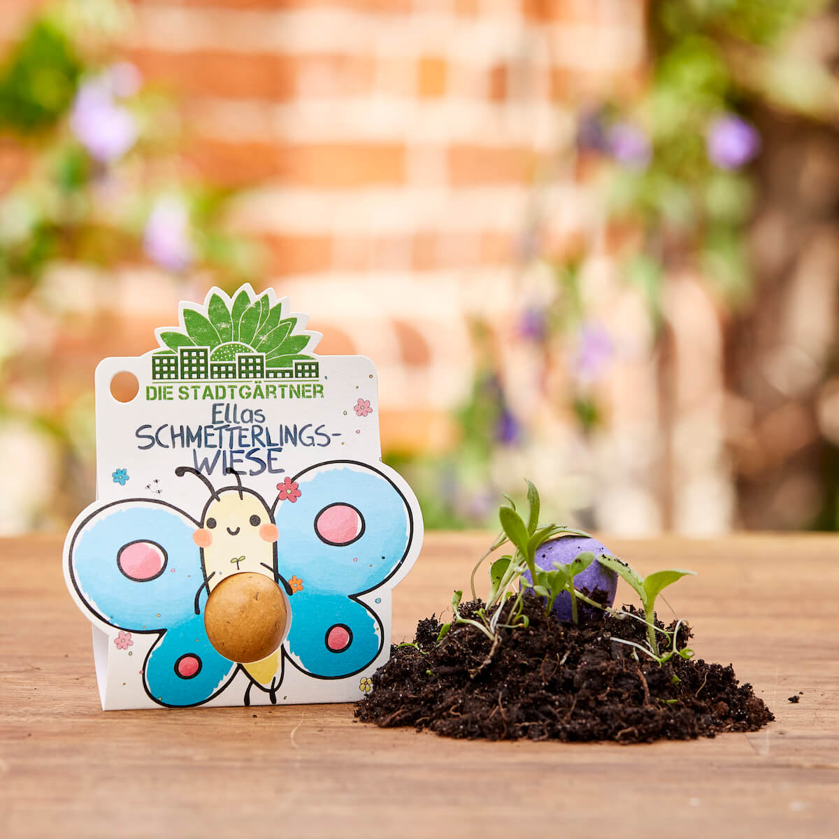 3 x 1 Blumenmurmel – Alle Sorten 