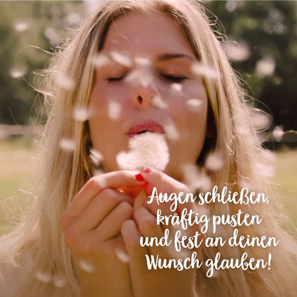 Kleiner Wunscherfüller 