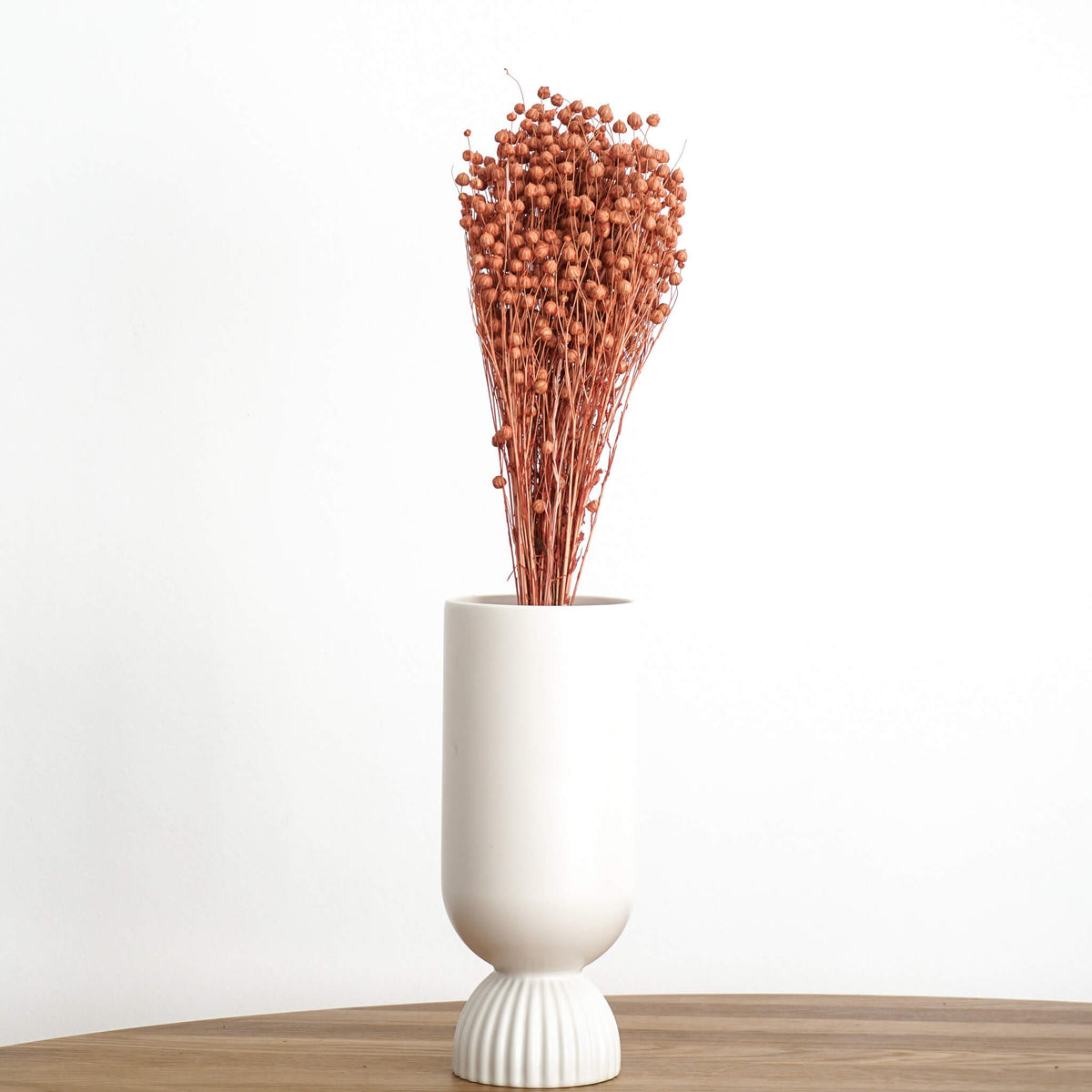 Flachs | Linum 