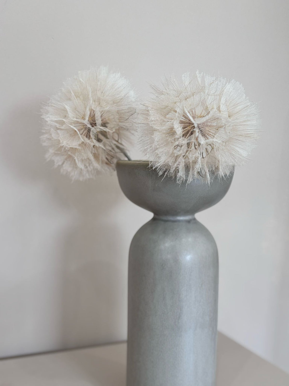 Pusteblume getrocknet einzeln 