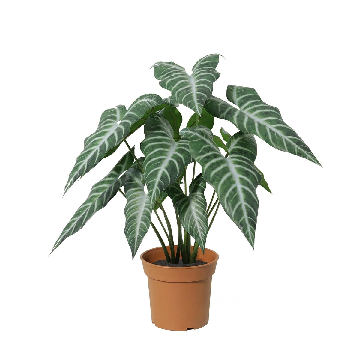 Künstliche Alocasia Polly 49cm im Topf – realistische Elefantenohr Kunstpflanze mit markanten Blättern – pflegefreie Zimmerdeko für Regal, Fensterbank & Schreibtisch – ganzjährig grün 