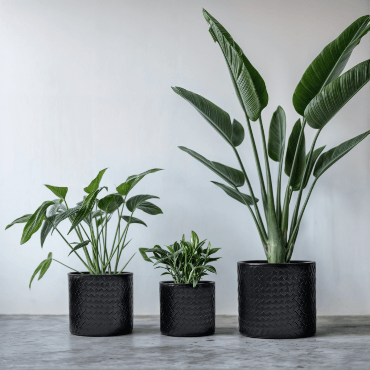 Blumentopf Übertopf Pflanzenkübel Topf Kübel 3er Set schwarz rund Metall Matt 