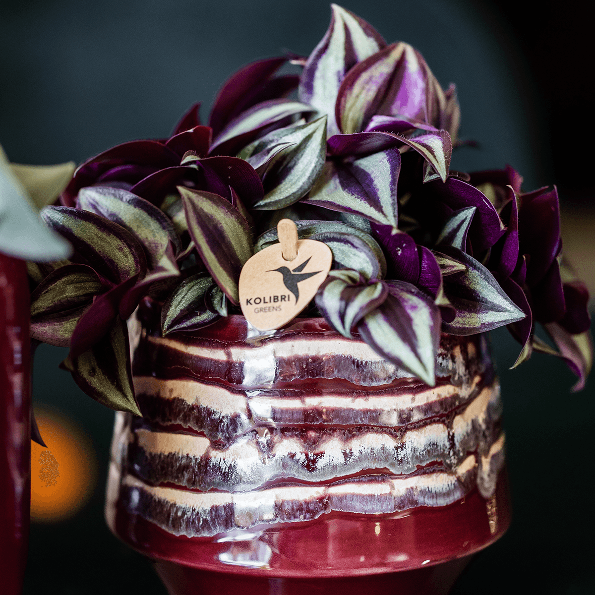 Kolibri Home | Moonstone Burgundy Übertopf - Ø9cm 