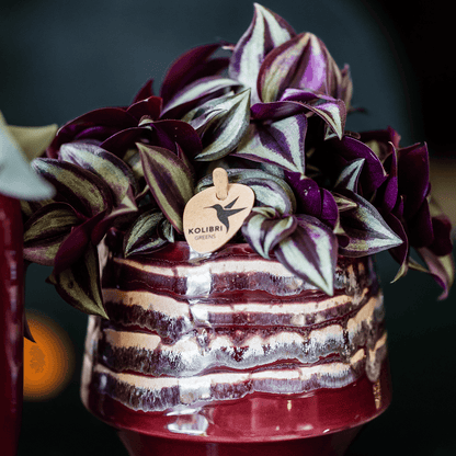 Kolibri Home | Moonstone Burgundy Übertopf - Ø9cm 