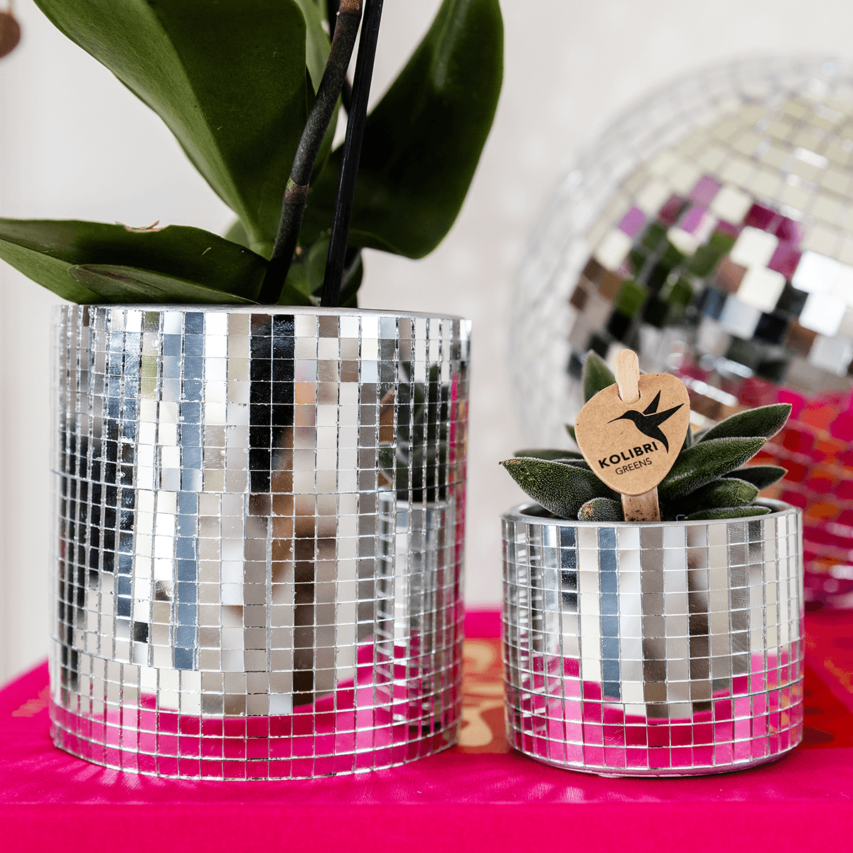Kolibri Home | Disco sierpot - Ø6cm 