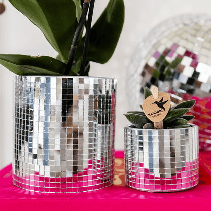 Kolibri Home | Disco sierpot - Ø6cm 
