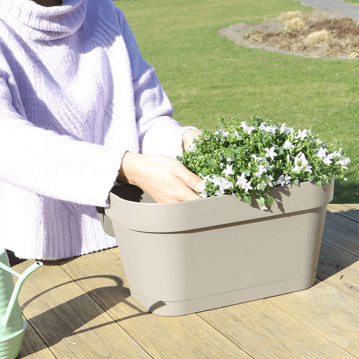 Campanula Addenda Ambella weiß - Balkonpflanzer taupe mit 3 Stück Campanula Topfgröße 12cm - Inkl. Aufhängesystem - Glockenblume Weiß - Stauden 