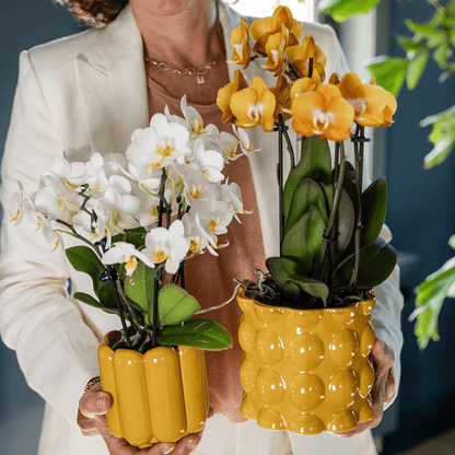 Kolibri Home | Retro Shine Übertopf - Yellow - Ø9cm 