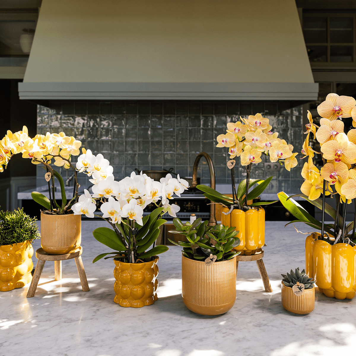 Kolibri Home | Flare Dekotopf - Ocher - Ø9cm 