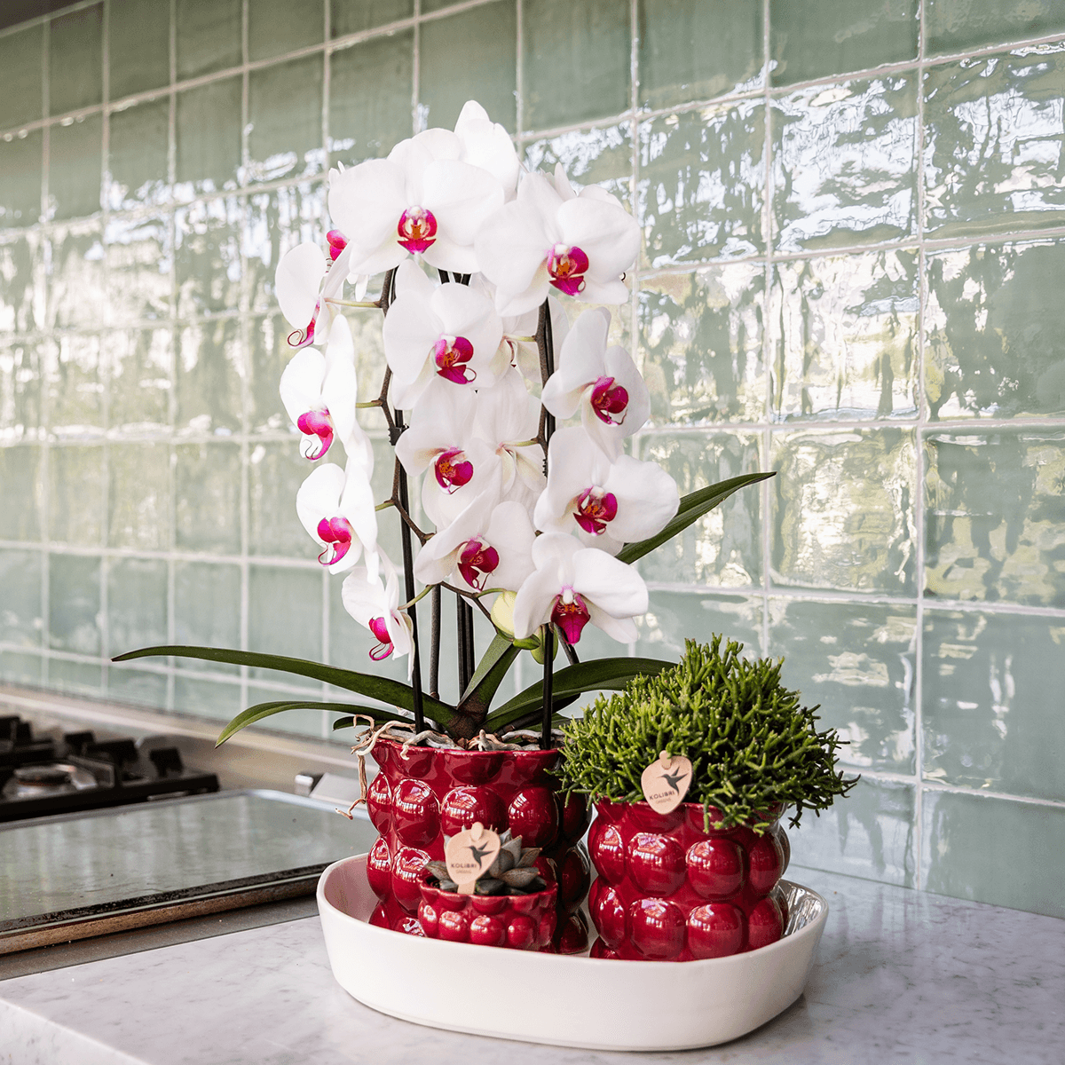 Kolibri Home | Cotton Shine Übertopf - Red - Ø12cm 