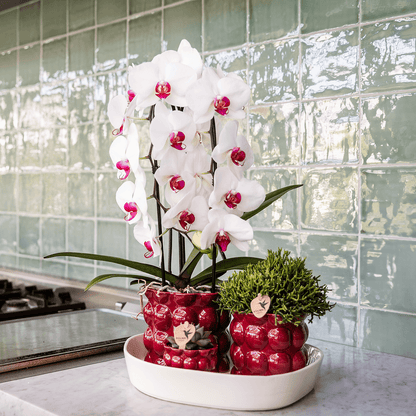 Kolibri Home | Cotton Shine Übertopf - Red - Ø12cm 