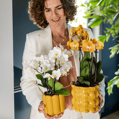 Kolibri Home | Retro Shine Übertopf - Yellow - Ø9cm 