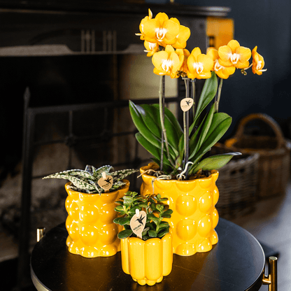 Kolibri Home | Cotton Shine Übertopf - Yellow - Ø12cm 