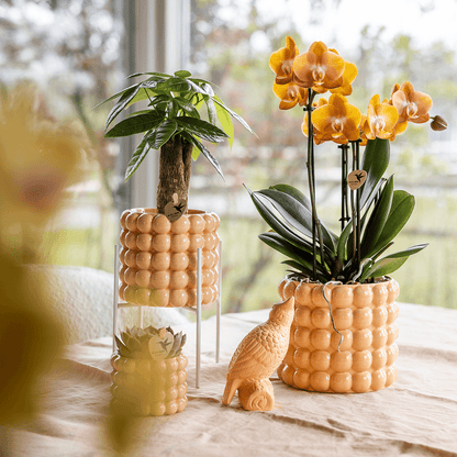 Kolibri Home | Poppy Ziertopf - Peach - Ø12cm 